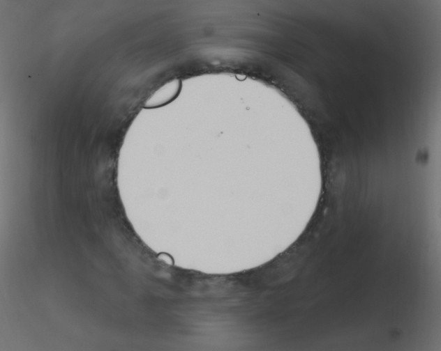 X0000115851061200912242033