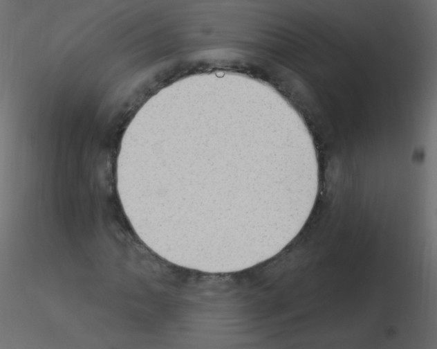 X0000115851062200912242033