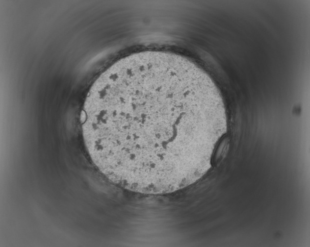 X0000115851063200912242033