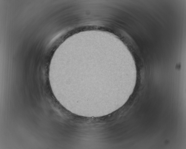 X0000115851064200912242033