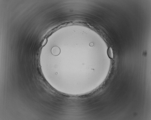 X0000115851065200912242033