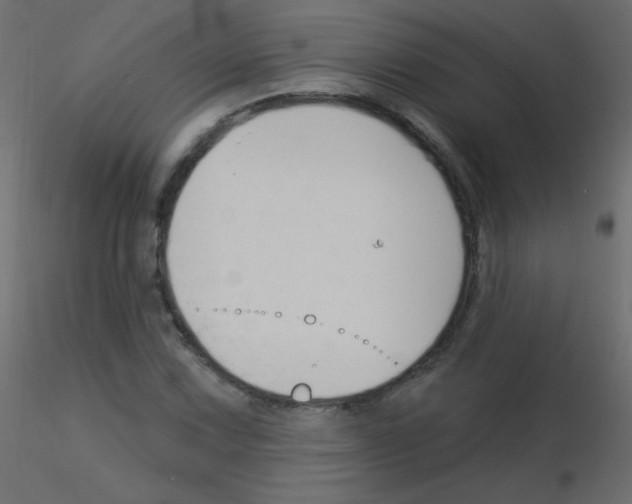 X0000115851067200912242033