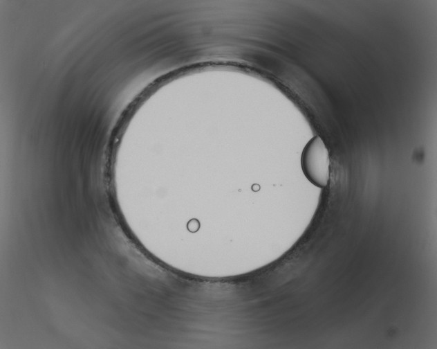 X0000115851068200912242033