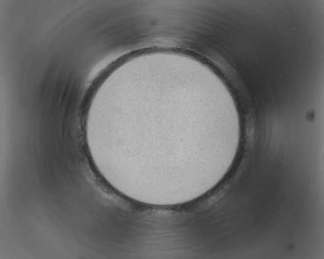 X0000115851070200912242033