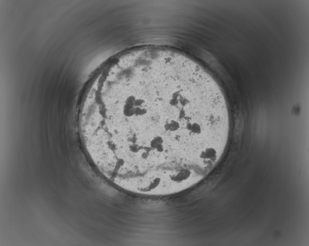 X0000115851071200912242033