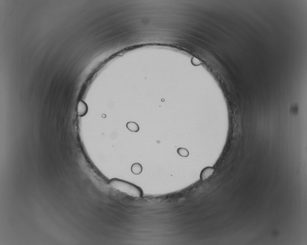 X0000115851072200912242033