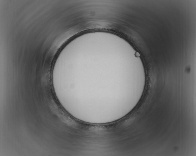 X0000115851073200912242033