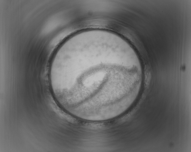 X0000115851074200912242033
