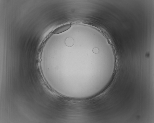 X0000115851075200912242033