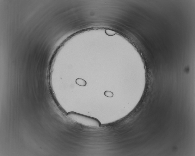 X0000115851076200912242033