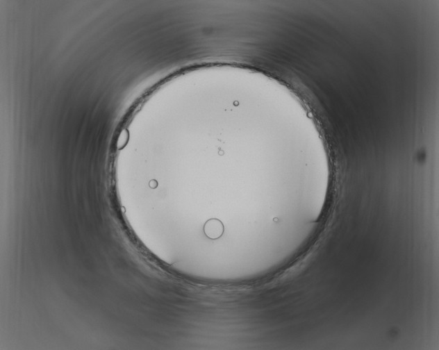 X0000115851077200912242033