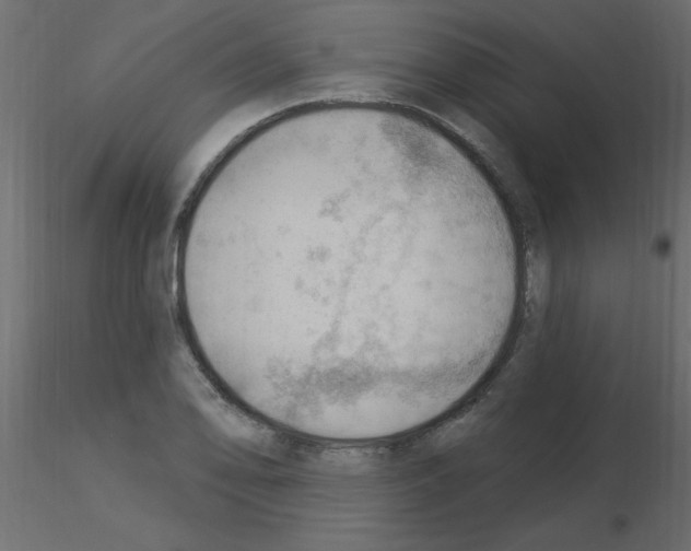 X0000115851078200912242033