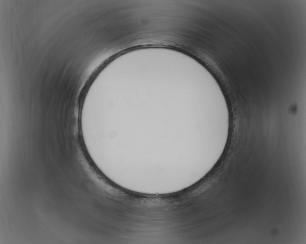 X0000115851079200912242033