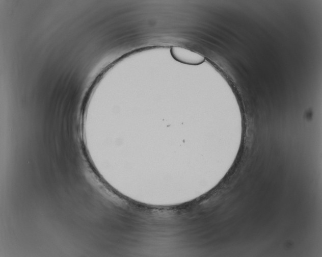 X0000115851080200912242033