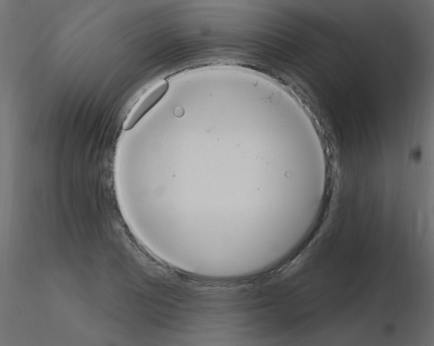 X0000115851081200912242033