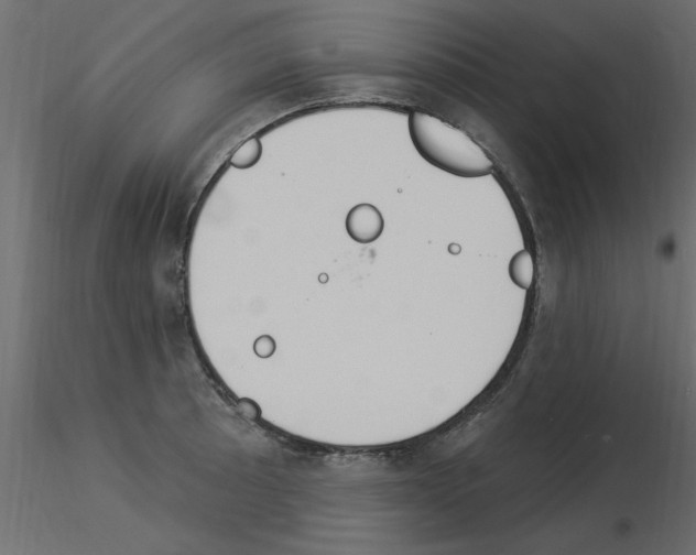 X0000115851089200912242032