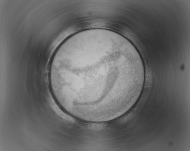 X0000115851090200912242032