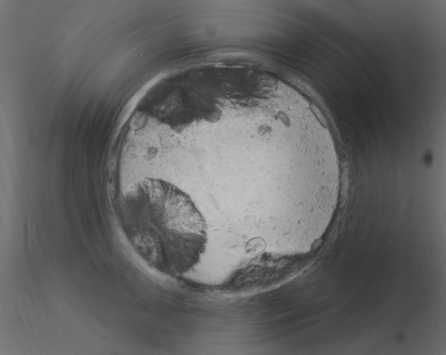 X0000115851091200912242032