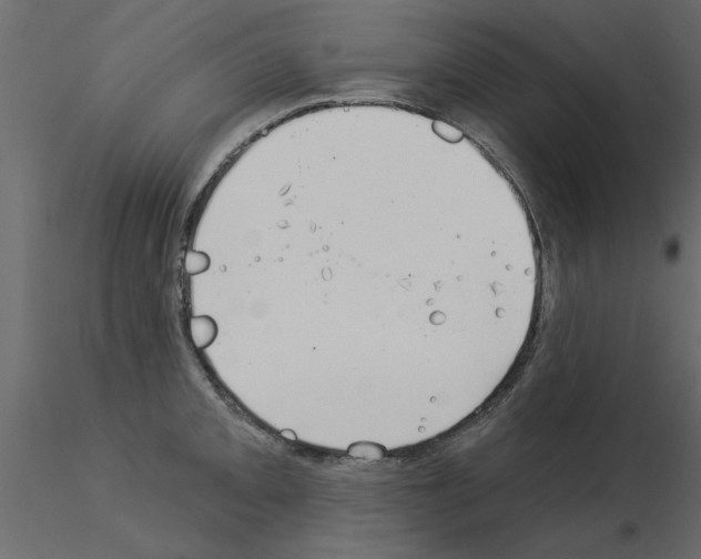 X0000115851093200912242032