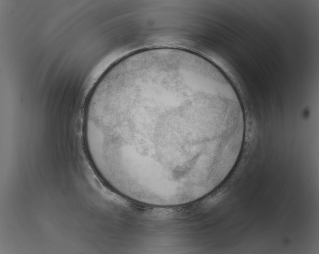X0000115851094200912242032