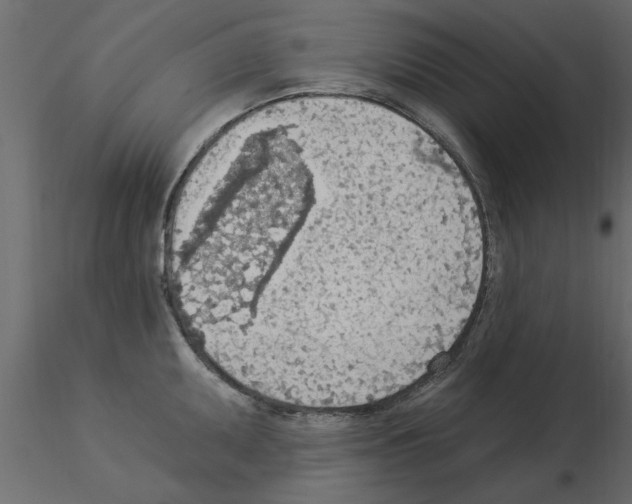 X0000115851095200912242032