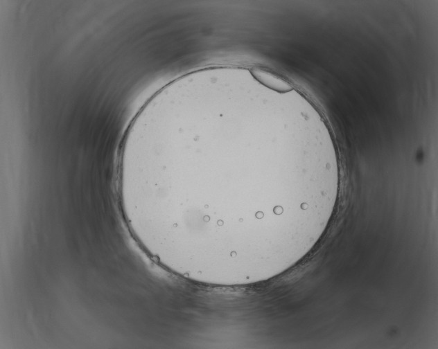 X0000115851103200912242032