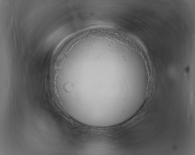 X0000115851104200912242032