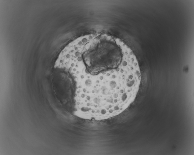 X0000115851105200912242032