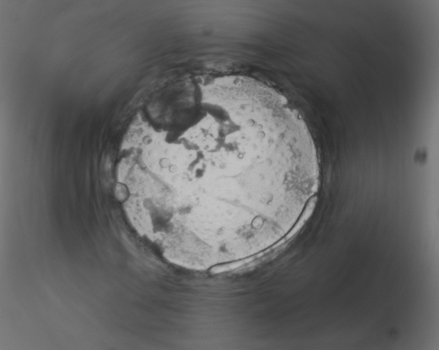 X0000115851106200912242032