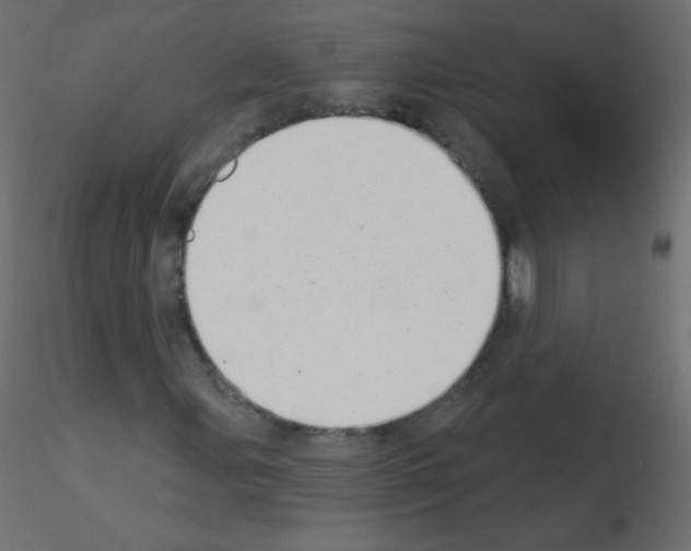 X0000115851107200912242032