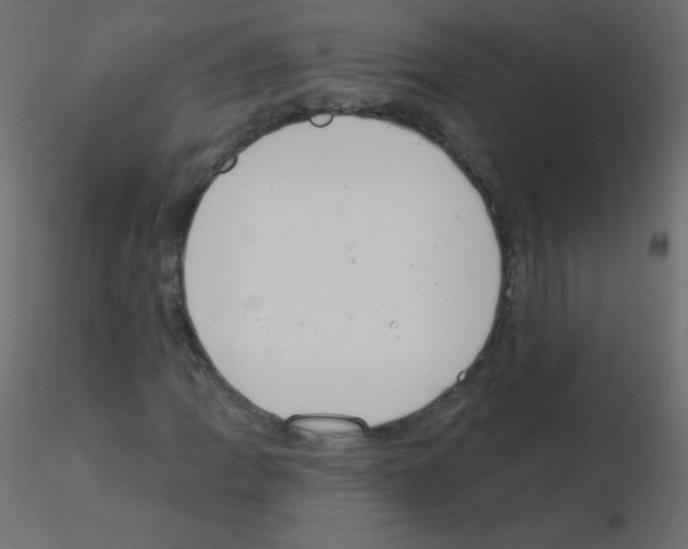 X0000115851109200912242032