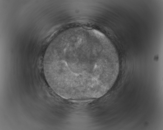X0000115851110200912242032