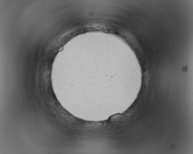 X0000115851111200912242032