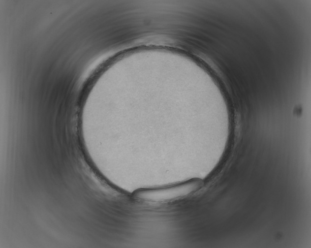 X0000115851115200912242032