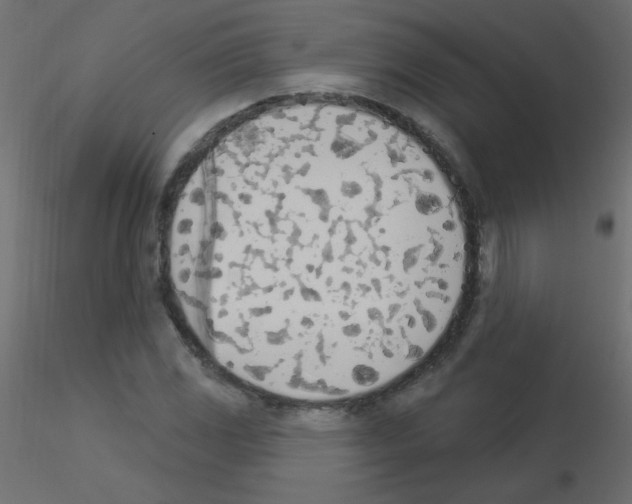 X0000115851117200912242032