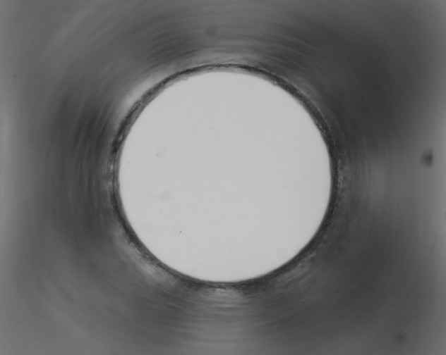 X0000115851119200912242032
