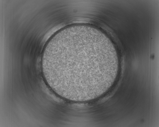 X0000115851121200912242032