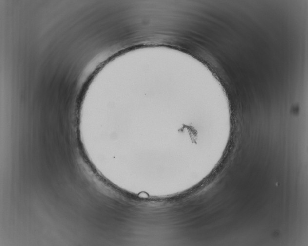 X0000115851122200912242032