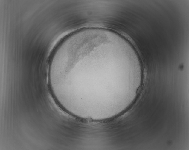 X0000115851123200912242032