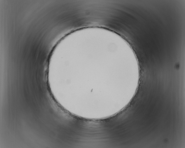 X0000115851126200912242032