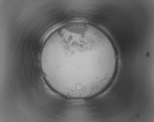 X0000115851129200912242032