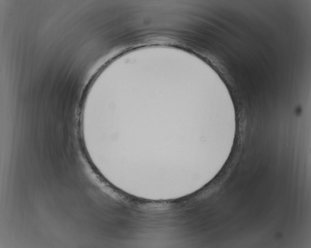 X0000115851134200912242032