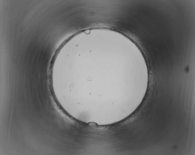 X0000115851135200912242032