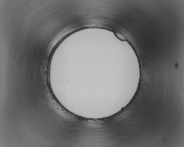 X0000115851138200912242032