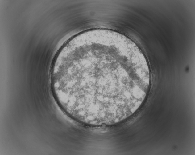 X0000115851141200912242032