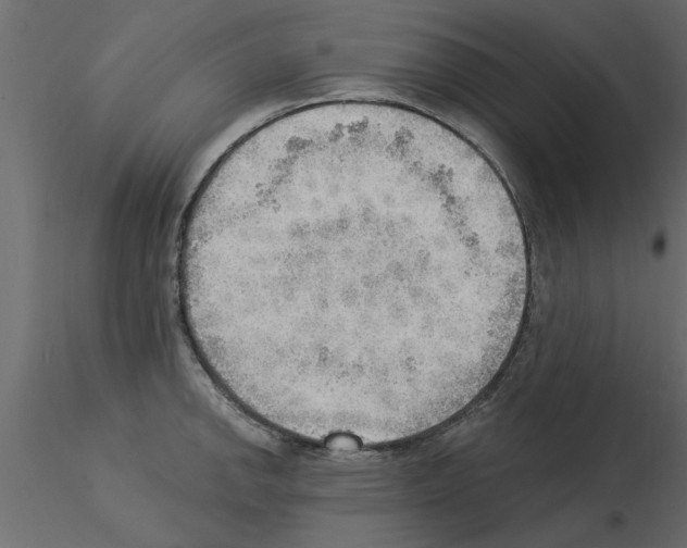 X0000115851142200912242032