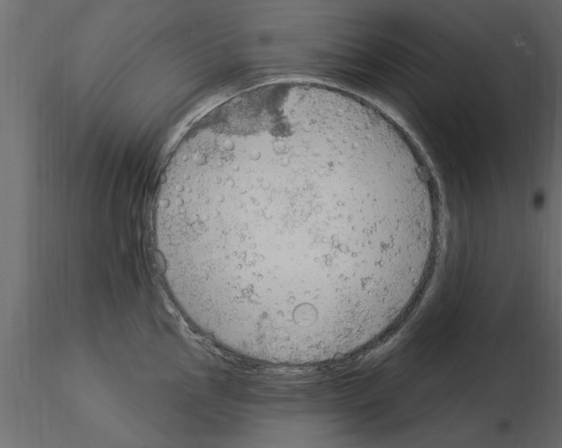 X0000115851145200912242032