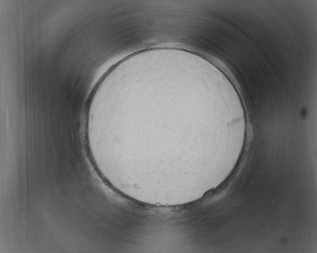 X0000115851149200912242032