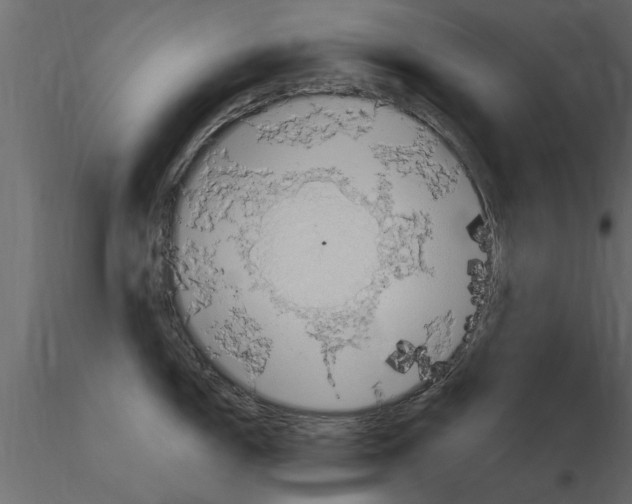 X0000115851150200912242032
