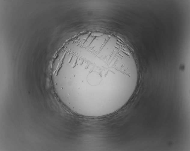 X0000115851153200912242032